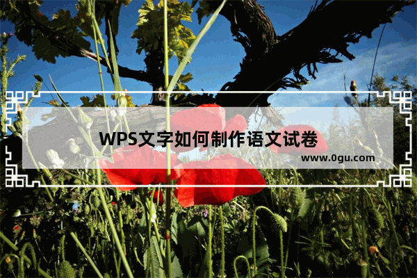 WPS文字如何制作语文试卷