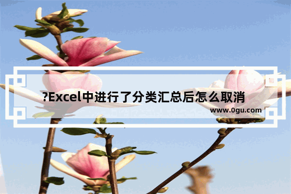?Excel中进行了分类汇总后怎么取消 Excel表格中取消分类汇总恢复原始状态的方法教程