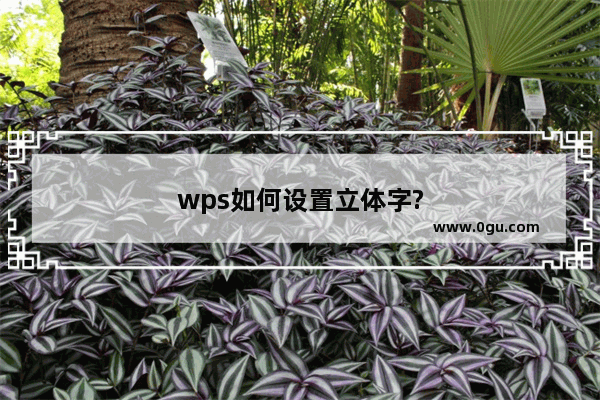 wps如何设置立体字?