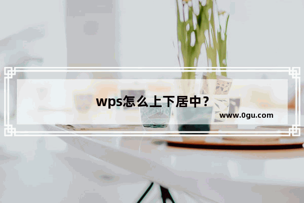 wps怎么上下居中？