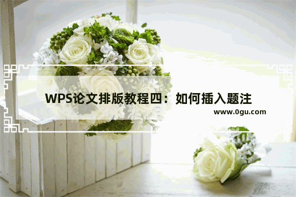 WPS论文排版教程四：如何插入题注