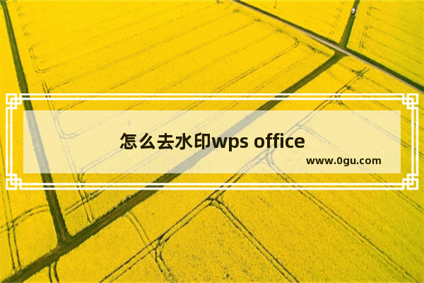 怎么去水印wps office