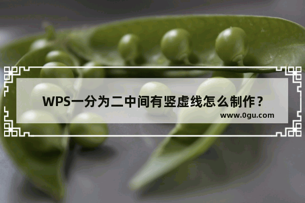 WPS一分为二中间有竖虚线怎么制作？