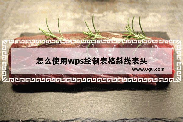 怎么使用wps绘制表格斜线表头