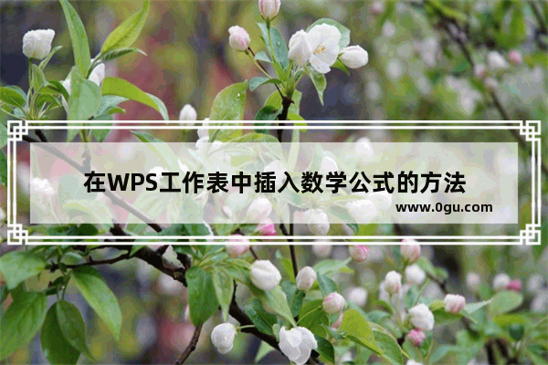 在WPS工作表中插入数学公式的方法