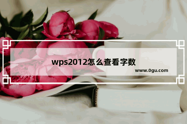 wps2012怎么查看字数
