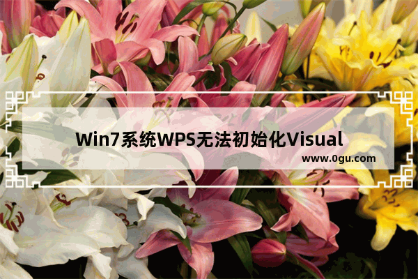 Win7系统WPS无法初始化Visual Basic环境解决办法