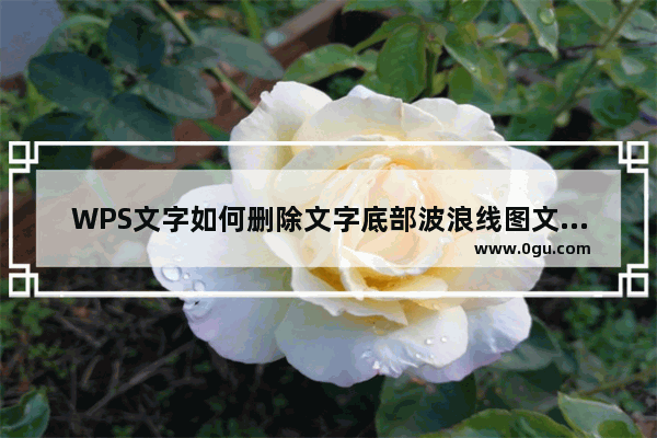 WPS文字如何删除文字底部波浪线图文教程