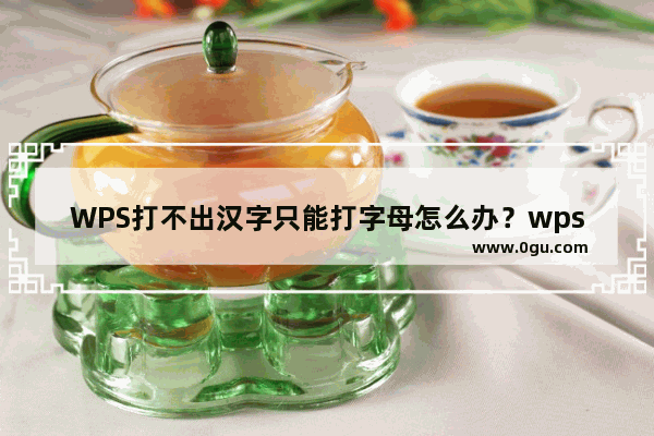 WPS打不出汉字只能打字母怎么办？wps无法打汉字只能打字母解决方法