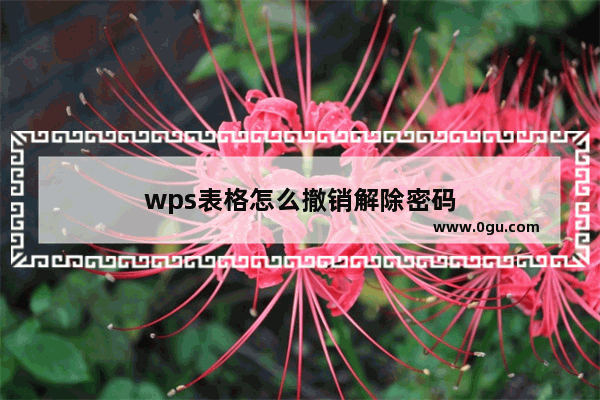 wps表格怎么撤销解除密码
