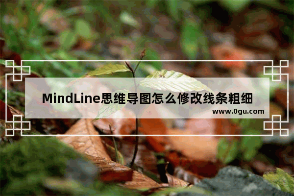 MindLine思维导图怎么修改线条粗细 MindLine思维导图设置线条粗细的方法