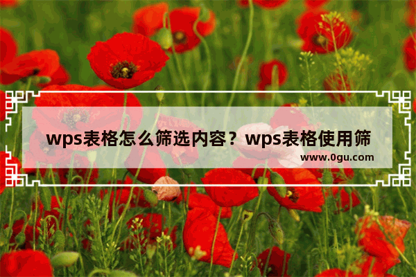 wps表格怎么筛选内容？wps表格使用筛选器进行筛选的方法！