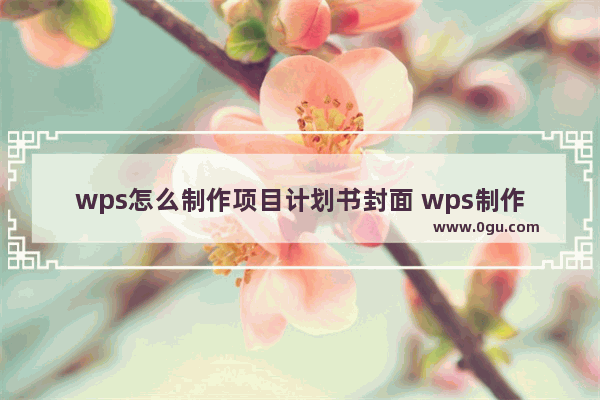 wps怎么制作项目计划书封面 wps制作项目计划书封面的方法