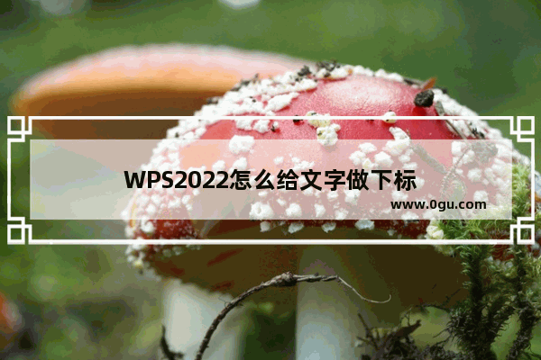 WPS2022怎么给文字做下标