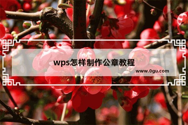 wps怎样制作公章教程