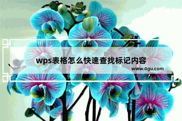 wps表格怎么快速查找标记内容
