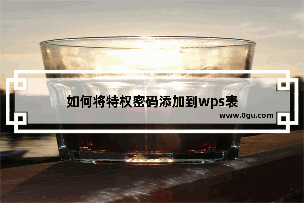 如何将特权密码添加到wps表