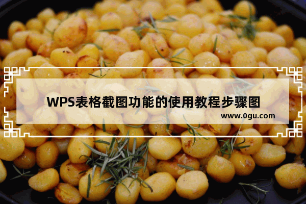 WPS表格截图功能的使用教程步骤图