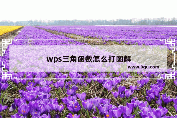 wps三角函数怎么打图解