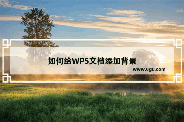 如何给WPS文档添加背景
