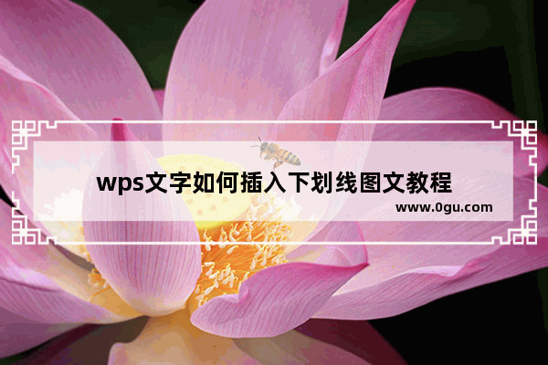 wps文字如何插入下划线图文教程