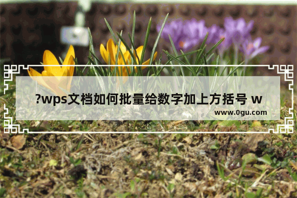 ?wps文档如何批量给数字加上方括号 wps文档给全部数字加上方括号的方法