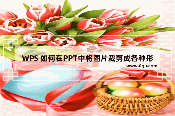 WPS 如何在PPT中将图片裁剪成各种形状