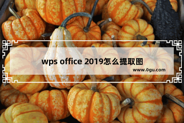 wps office 2019怎么提取图片中的文字? wps2019图片转文字的技巧