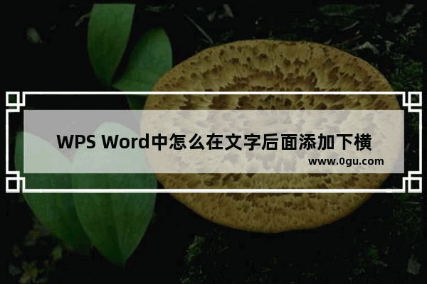 WPS Word中怎么在文字后面添加下横线 WPS Word中在文字后面添加下横线的方法