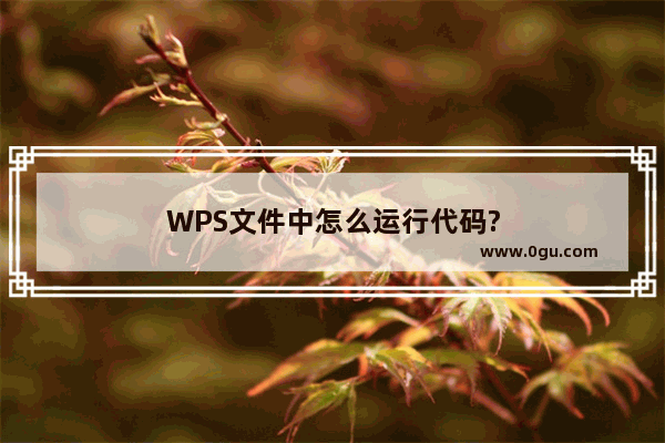 WPS文件中怎么运行代码?