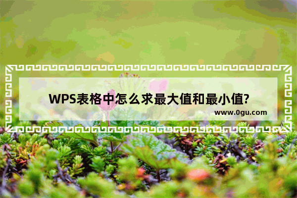 WPS表格中怎么求最大值和最小值?