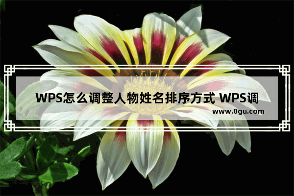 WPS怎么调整人物姓名排序方式 WPS调整人物姓名排序方式教学