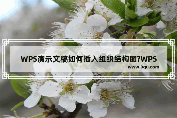 WPS演示文稿如何插入组织结构图?WPS演示插入组织结构图的教程