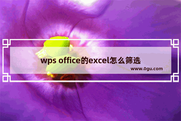 wps office的excel怎么筛选