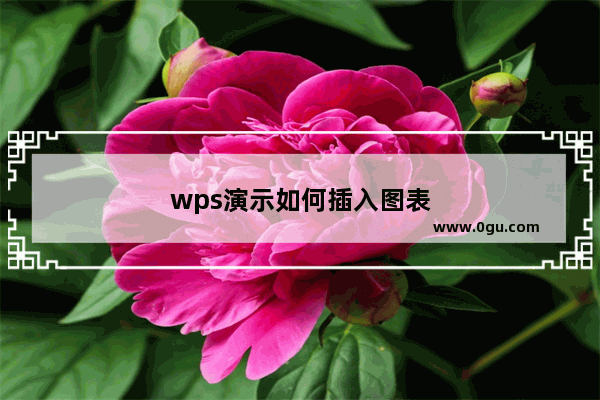 wps演示如何插入图表