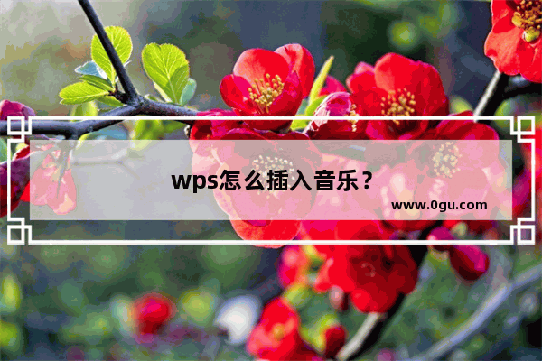 wps怎么插入音乐？