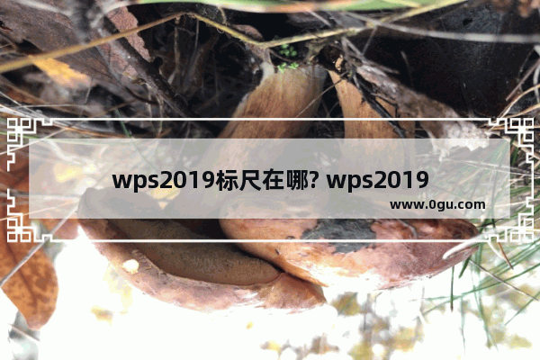 wps2019标尺在哪? wps2019调出标尺的教程