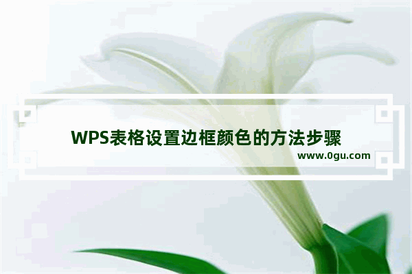 WPS表格设置边框颜色的方法步骤