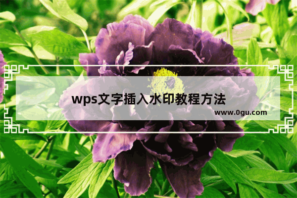 wps文字插入水印教程方法