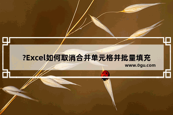 ?Excel如何取消合并单元格并批量填充 Excel表格中取消合并后填充内容的方法教程