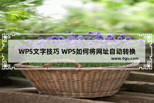 WPS文字技巧 WPS如何将网址自动转换为超链接
