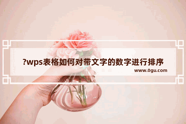 ?wps表格如何对带文字的数字进行排序