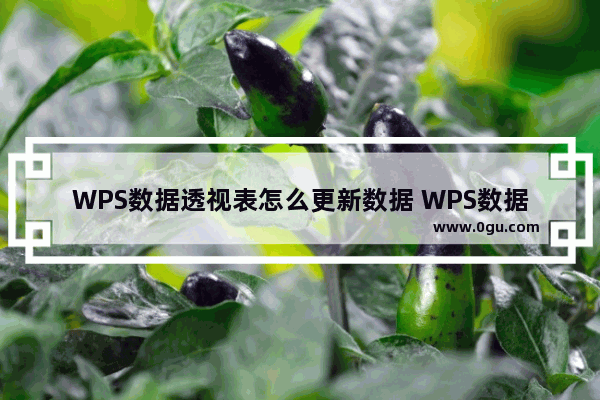 WPS数据透视表怎么更新数据 WPS数据透视表更新数据的方法
