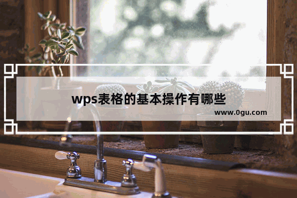 wps表格的基本操作有哪些