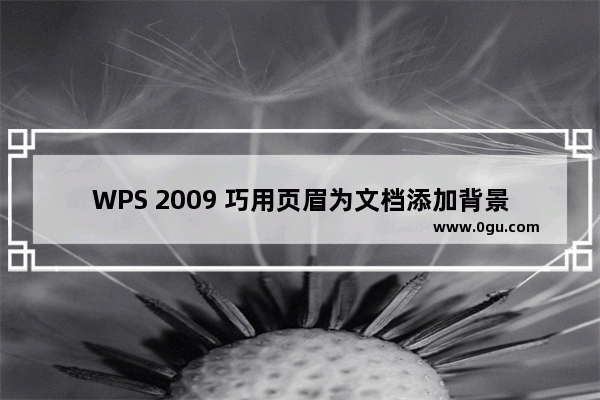 WPS 2009 巧用页眉为文档添加背景