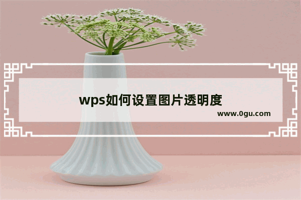 wps如何设置图片透明度