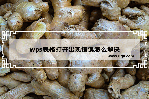 wps表格打开出现错误怎么解决