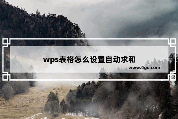 wps表格怎么设置自动求和