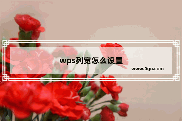 wps列宽怎么设置