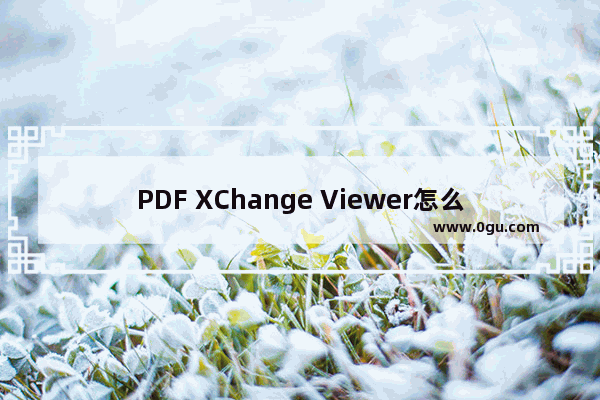 PDF XChange Viewer怎么查找文字内容 PDF XChange Viewer快速查找文字内容的方法
